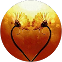 candelaria mesa H. profile picture